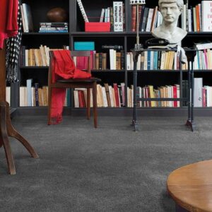 Moquette pour bureau, hall, couloir